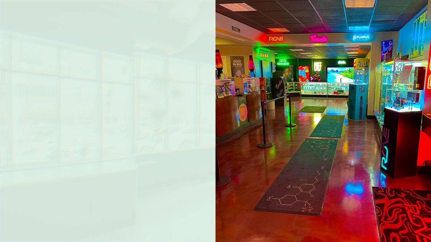 Sales floor at Treehead Culture, looking down the counter toward the display cases