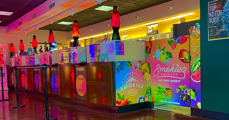 inside Treehead Culture