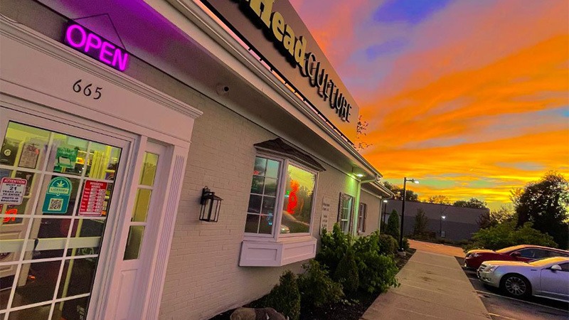 outside Treehead Culture